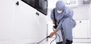 about-malang-pest-control