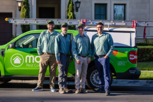 termite control in Orange County