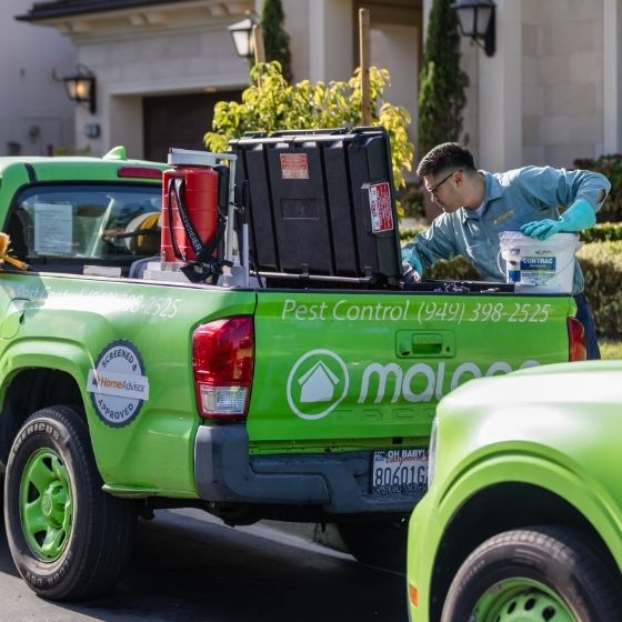 mosquito control experts in Orange County