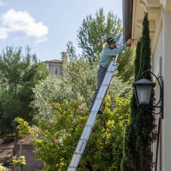 Pest Control Experts