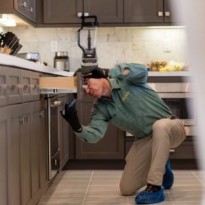 Pest Control Experts