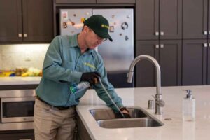 Residential Pest Control