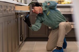 best pest control companies in San Diego