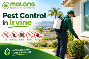 Pest Control in Irvine Banner