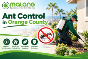 ant control in Orange County