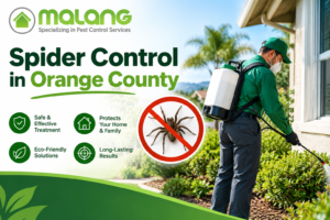 spider control in Orange County