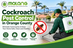 Cockroach Pest Control in Orange County
