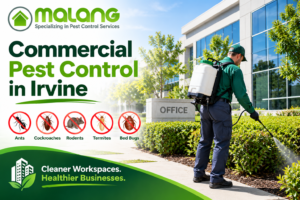 Commercial pest control in Irvine