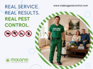 What to Ask Your Pest Control Company