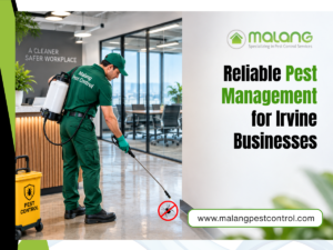 commercial pest control services