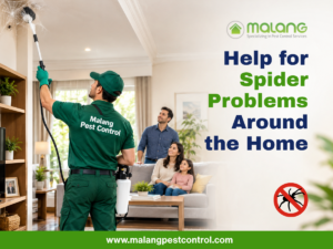 Commercial pest control in Irvine
